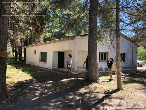 Imagen 15 de 28 de 8.805 Has En Neuquen Venta / Alquiler, Con 18 Km De Costa Del Embalse Piedra Del Águila.