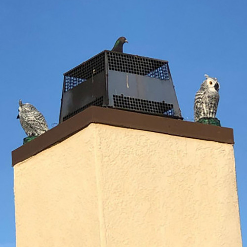 O Fake Owl Bird, Señuelo De Plástico Para Disuadir A Búhos Y