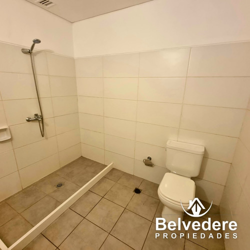Apartamento De 1 Dormitorio Cocina Living Terraza Cochera