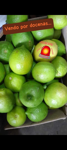 Limones De La Mejor Calidad 