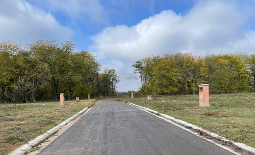 Terreno Lote En Venta Ubicado En Bella Vista, Zona Norte