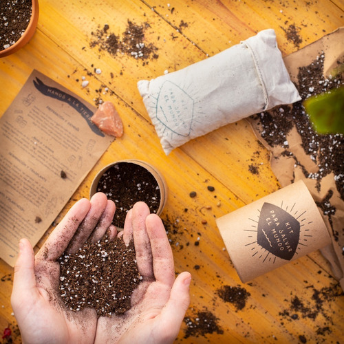 Kit Para Salvar El Mundo: Siembra De Árboles Nativos