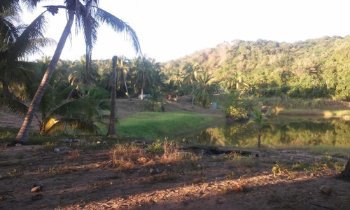 Imagen 12 de 14 de Terreno En Venta Las Brisas