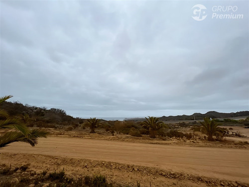 Parcela En Condominio Cerrado Vista Al Mar 5.000 M2