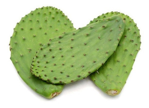 Imagen 1 de 1 de Nopal 1kg Gramo A 14.9
