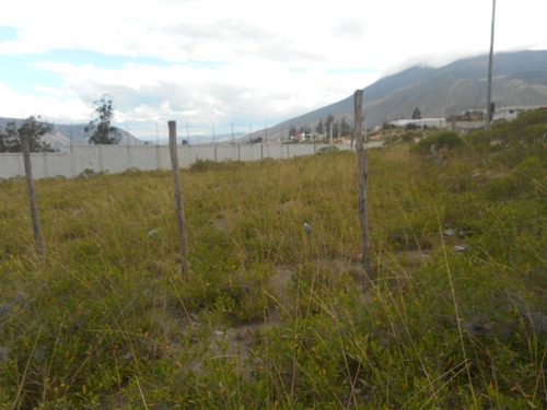 Imagen 6 de 14 de Terreno 1100 M2 En Coop. Huasipungo (sector Mitad Del Mundo) 62k Negociable!!