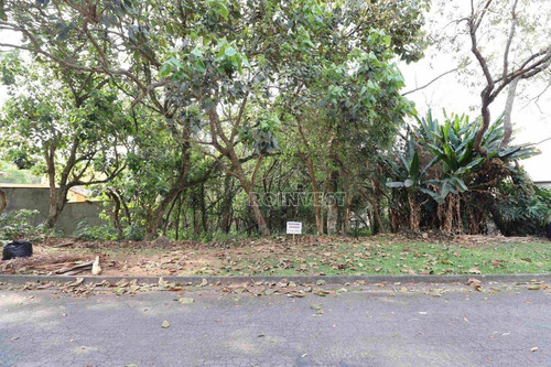 Imagem 7 de 30 de Terreno À Venda, 1187 M² Por R$ 910.000,00 - Palos Verdes - Carapicuíba/sp - T06580