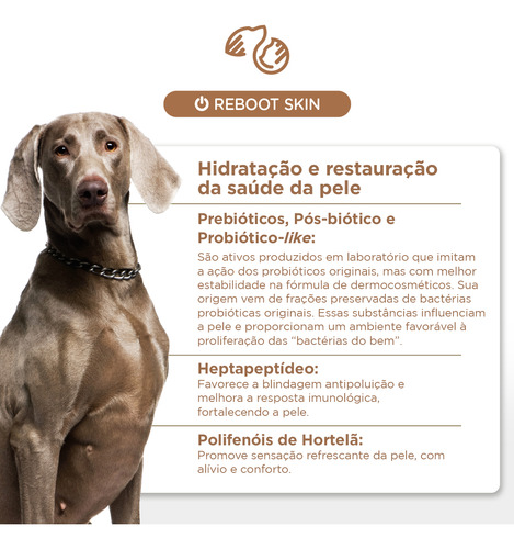 Skb-on Complex Spray Soft Care Hidratante Cães Gatos 100ml