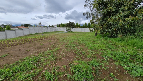 Imagen 3 de 3 de Terreno 1000 M2 Yaruqui