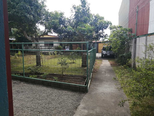 Imagen 5 de 10 de Lote Con 4 Apartamentos Y Casa