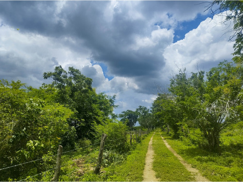 Rancho Ganadero En Venta, Propiedad Privada, 453 Has, Con Cenotes