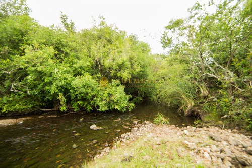 Campo De 86 Has Ganadero, Cuenta Con Tajamar Y Costa De Arroyo. Consulte!!!!!!- Ref: 2366