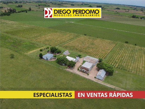 Chacra De 12,3 Has En Venta, San José