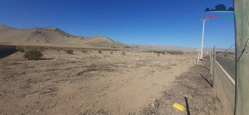 Agrícola En Venta En Copiapó