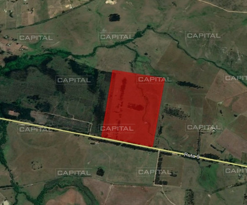 Imagen 2 de 2 de Excelente Chacra En Venta - Ruta 9 - Maldonado Ruta 9