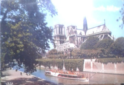 Postal En Color Catedral De Notre Dame (Usado)