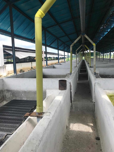 Imagen 8 de 27 de En Venta Finca De 118 Hectáreas , Y Granja Porcina , De 3.5