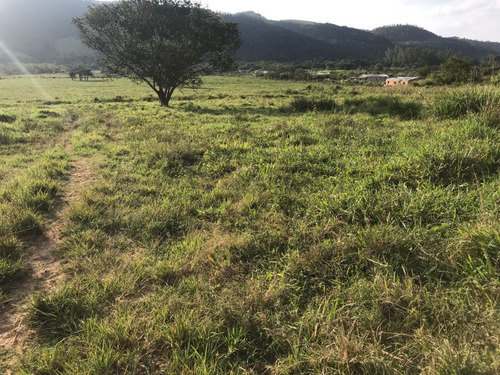 Imagem 10 de 10 de W36-lotes Com Topografia Plaina