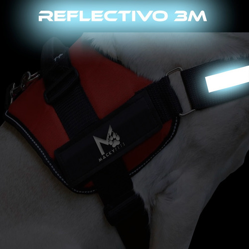 Imagen 4 de 7 de Super Combo / Cama Para Perros M + Pechera S + Paseador