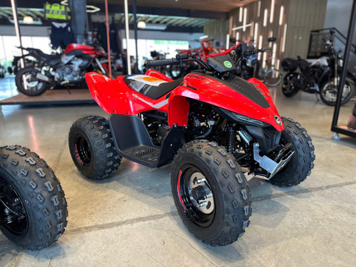 Cuatriciclo Cf Moto Cforce 110 Entrega Inmediata Sanzari
