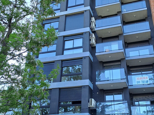 A Estrenar De Un Dormitorio Con Terraza Contra Frente