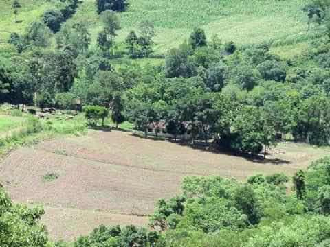 Vende Se Uma Propriedade Com Porteira Fechada