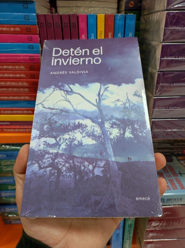Libro Detén El Invierno - Andrés Valdivia 