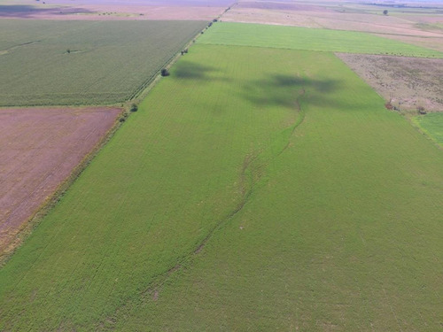 Imagen 9 de 9 de 12 Hectáreas Agrícolas En Aldea San Antonio, Gualeguaychú.