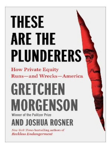 These Are The Plunderers - Joshua Rosner, Gretchen Mor. Eb02