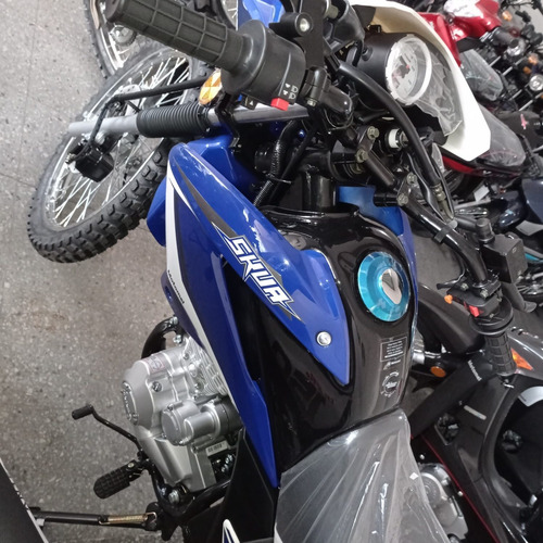 Imagen 8 de 23 de Motomel Enduro Skua 150 V6
