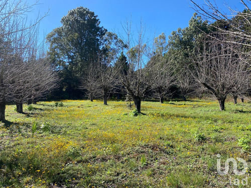 Venta Terreno 0 Ambiente Las Peras