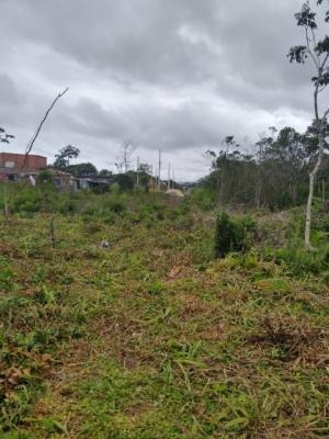 Imagem 5 de 9 de Terreno À Venda A 700 M Da Rodovia Em Itanhaém. 6767