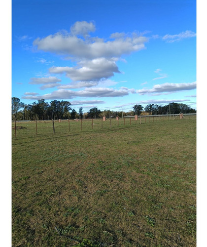 Venta Lotes Virrey Del Pino
