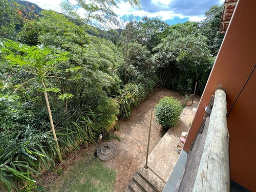 Imagem 20 de 30 de Chácara 2048m2, Casa Sede, Loja, Depósito, Viveiro De Plantas Com Estufa, Acesso Asfaltado, Poço Caipira, Ótima Localização - Ch00256 - 70814196