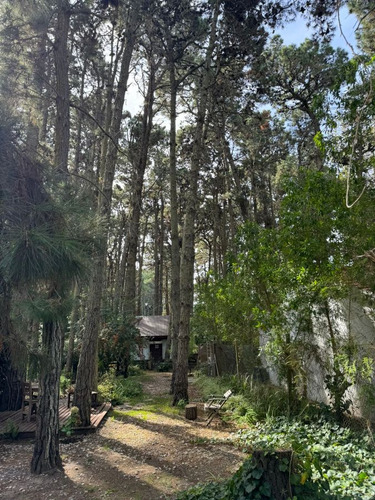 Complejo De Cabañas En El Pinar La Lucila Del Mar