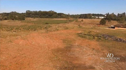 Imagem 6 de 11 de Área À Venda, 20262 M² Por R$ 3.545.950,00 - Guatupê - São José Dos Pinhais/pr - Ar0083
