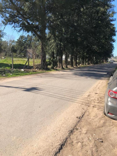 Imagen 10 de 18 de Venta Fracción / Lote En Centro Agricola El Pato