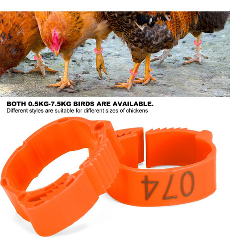 Imagen 4 de 10 de Letrero Con Forma De Pata De Pájaro Con Forma De Gallina, 10