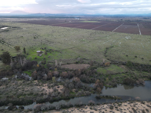 Venta De Campo En Cauquenes Id 47.778-cam