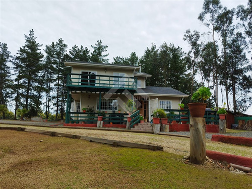 Casa En Venta De 4 Dorm. En Algarrobo