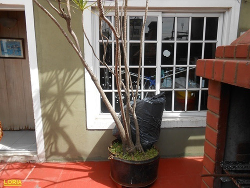Imagen 9 de 22 de Ph - 4 Ambientes - Patio Y Terraza Propia - Sin Expensas.-