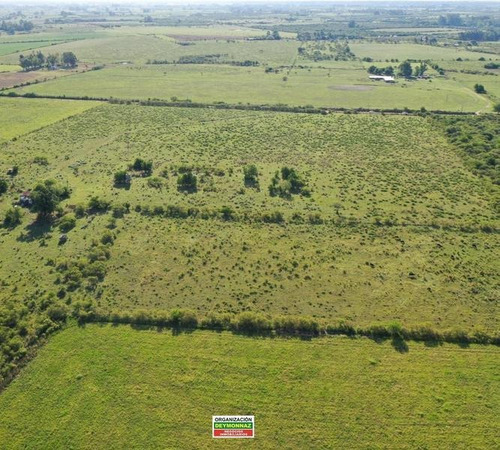 Imagen 10 de 12 de Lotes Rurales De 3,5 Has Cada Una En Ejido Colón