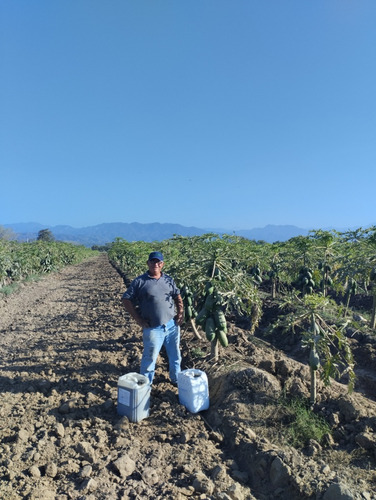 Fertilizante Arrancador 8-24-0 (5 Litros)
