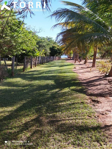 Imagem 7 de 27 de Chácara À Venda Em Barão De Antonina/sp Bairro Parte Norte - Ch00396 - 69572610