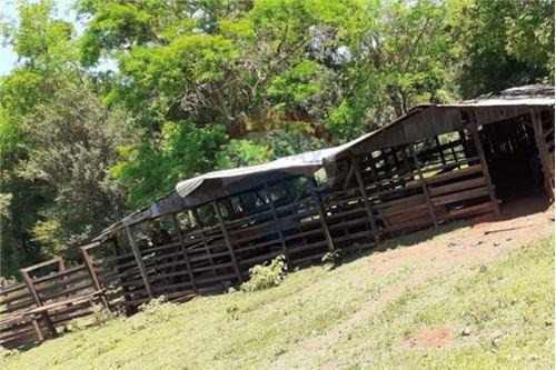 Imagen 9 de 14 de Vendo Casa Quinta En Carmen Del Paraná: 12 Hectáreas Y Media
