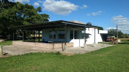 Campo En Venta Provincia De Buenos Aires Ruta 226