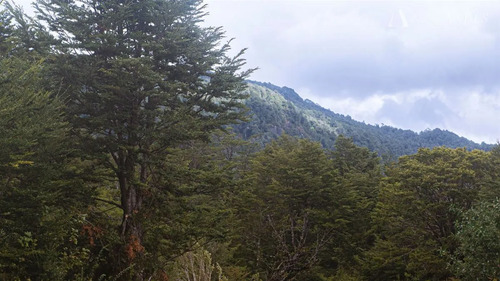 Sitio En Venta En Aisén