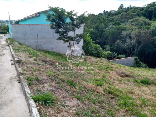 Imagem 7 de 8 de *** Lindo Terreno ***