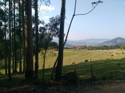 Imagem 1 de 12 de Terreno Rural 10 Hectares Entre Grão Pará E Braço Do Norte