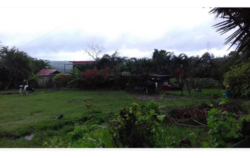 Terreno En Venta En El Lencero, Emiliano Zapata, Veracruz De Ignacio De La Llave C.p. 91640